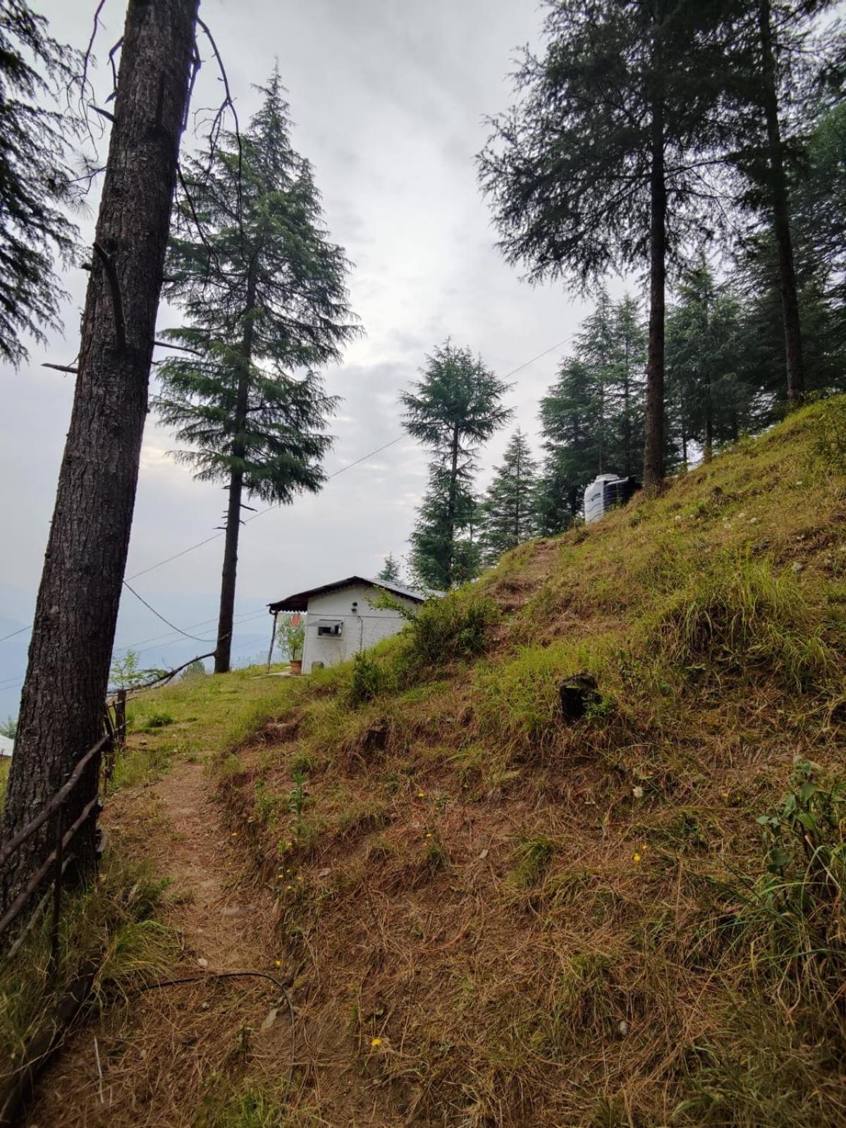 Little Himalayan Abode Villa Almora Kültér fotó
